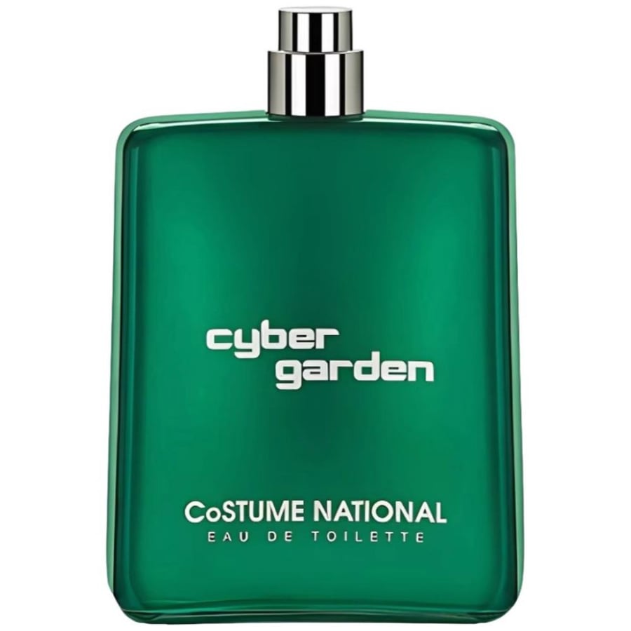 عطر كوستوم ناشونال سيبر جاردن او دو تواليت 100مل