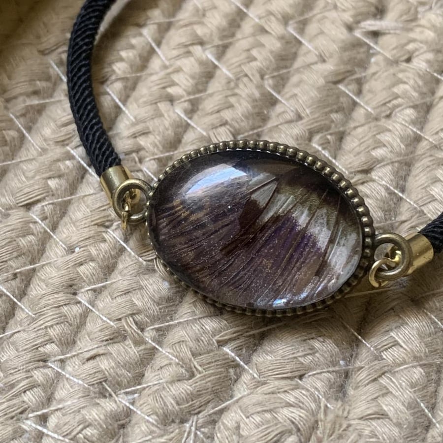 اسورة جناح فراشة