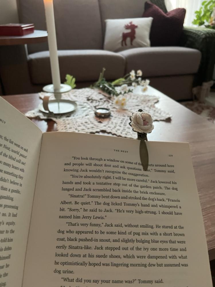 فاصل كتب