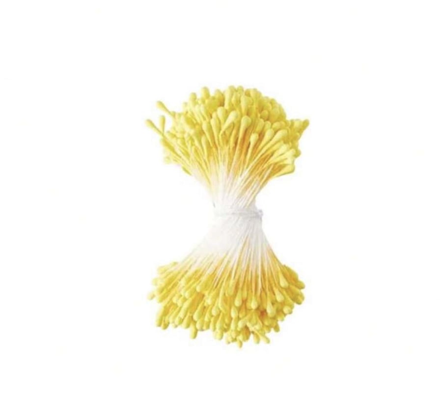 أسدية ازهار