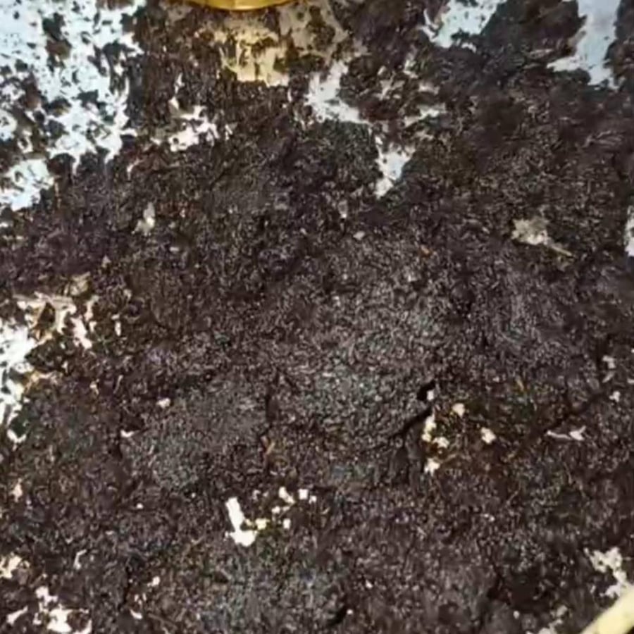 مخلط السحاب