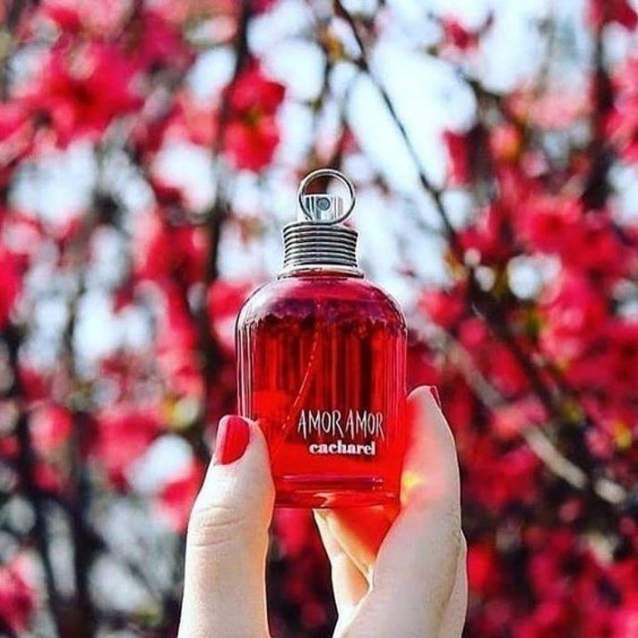 عطر كاشريل امور امور او دو تواليت للنساء 100مل