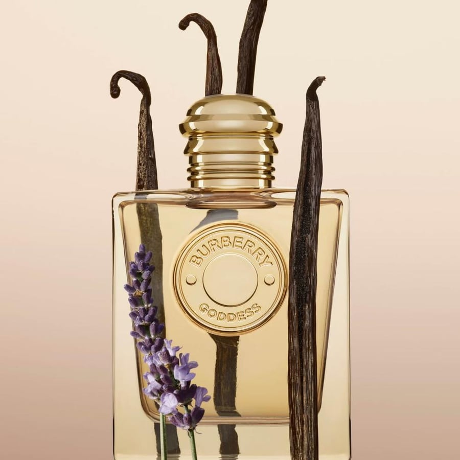 عطر بربري جوديس او دي بارفيوم للنساء 100 مل