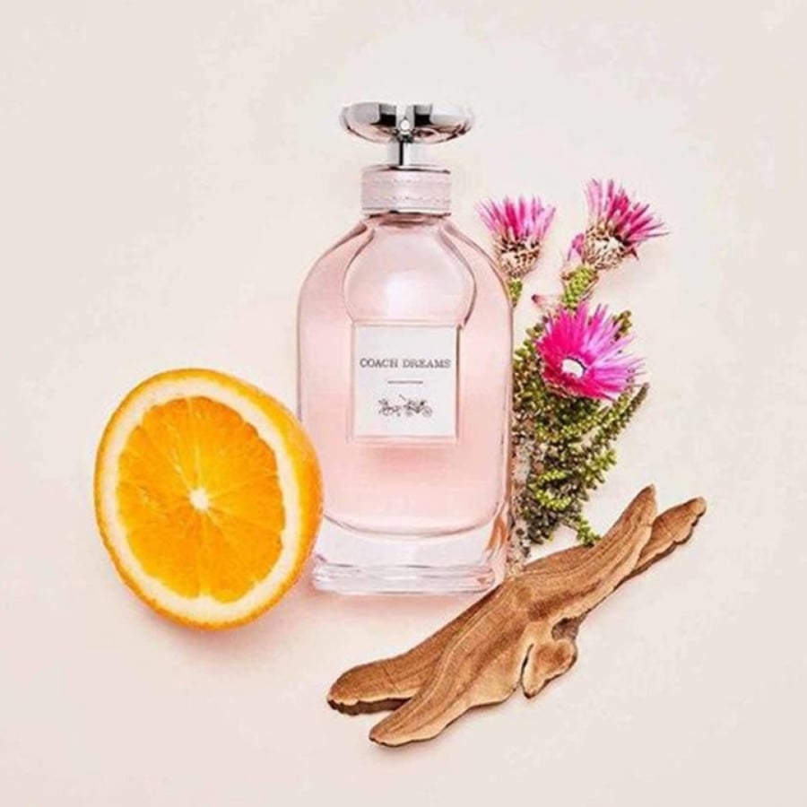 عطر دريمز من كوتش 60 مل للنساء