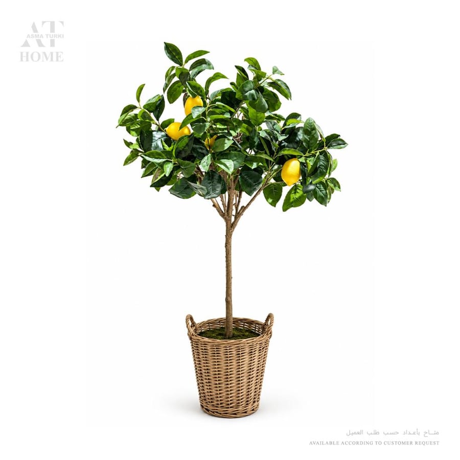 Lemon Tree 128cm