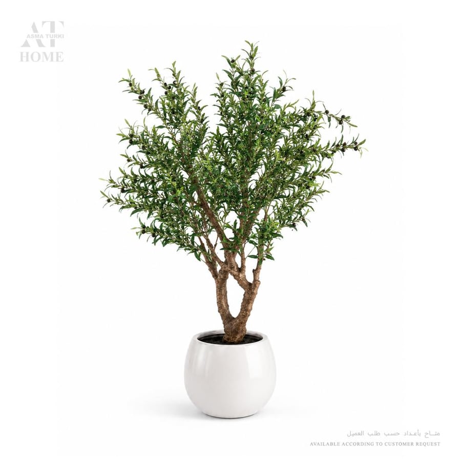 OLIVE TREE 126cm
