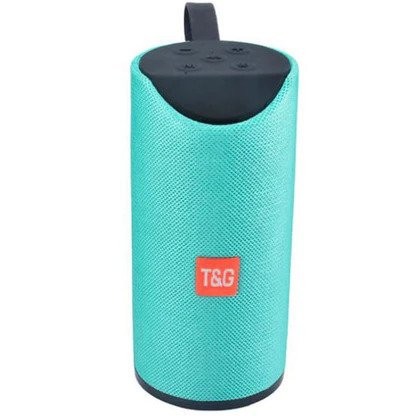مكبر الصوت اللاسلكي المحمول TG113