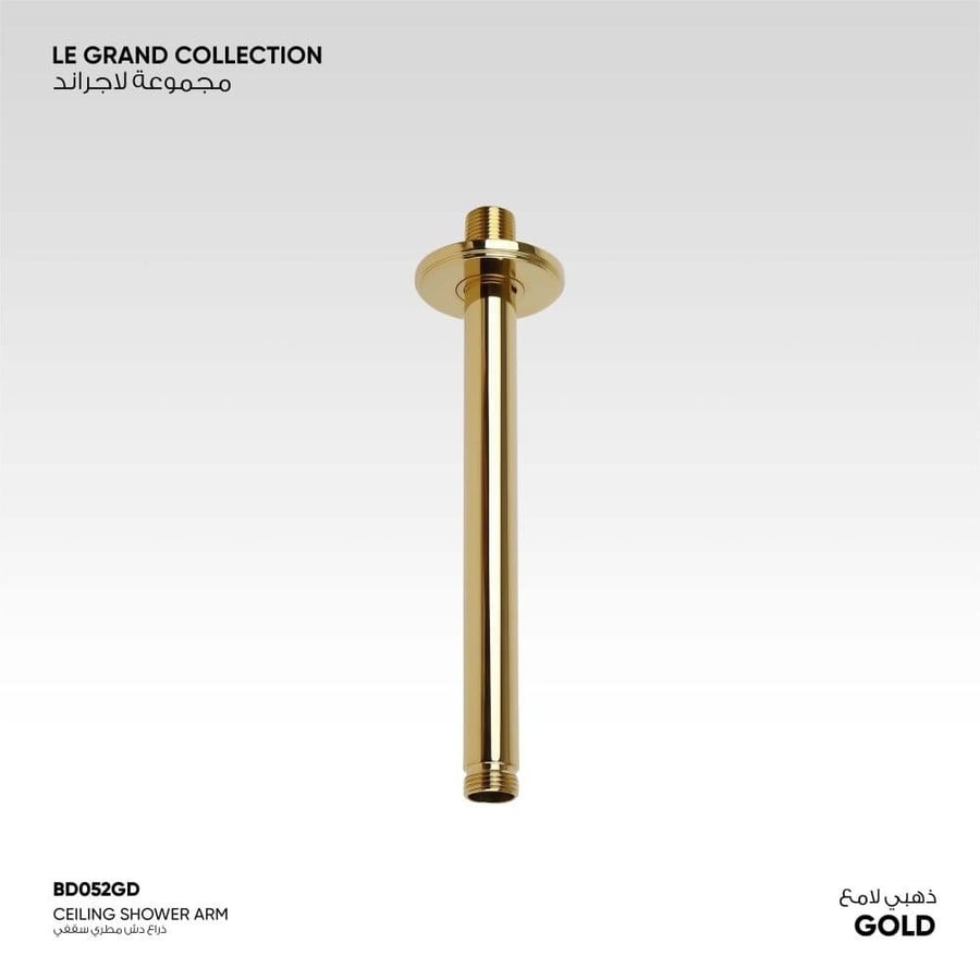 ذراع دش مطري سقفي Le Grand - BD052