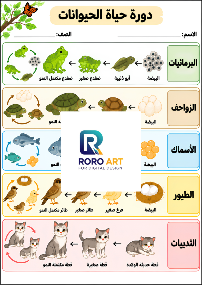 دورة حياة الحيوانات