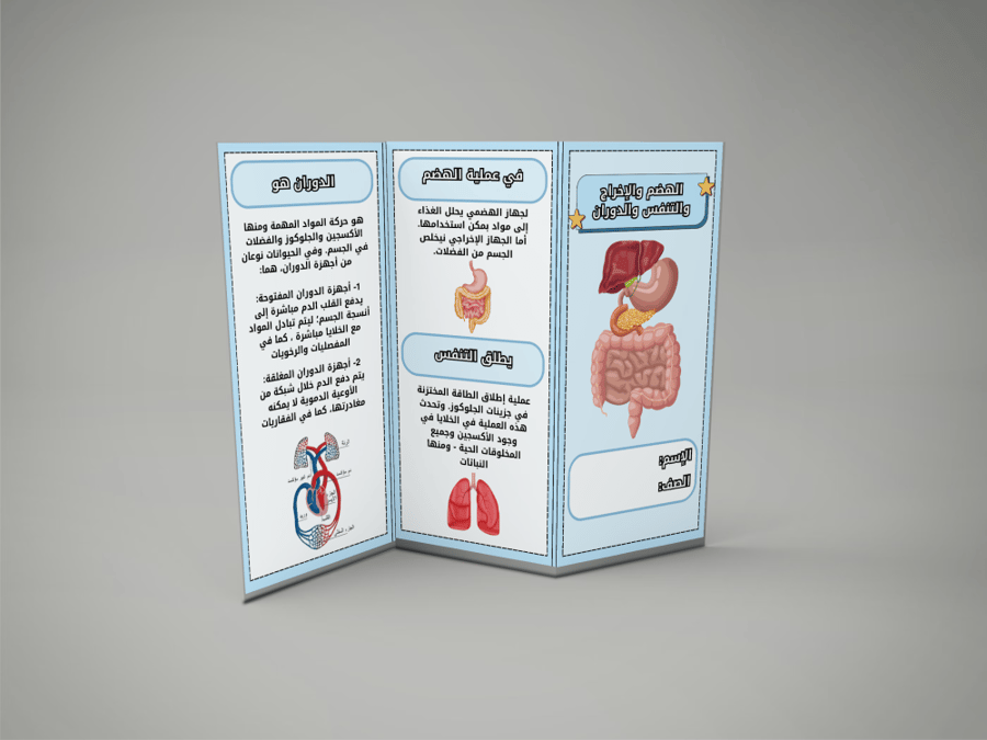 الهضم والإخراج والتنفس والدوران