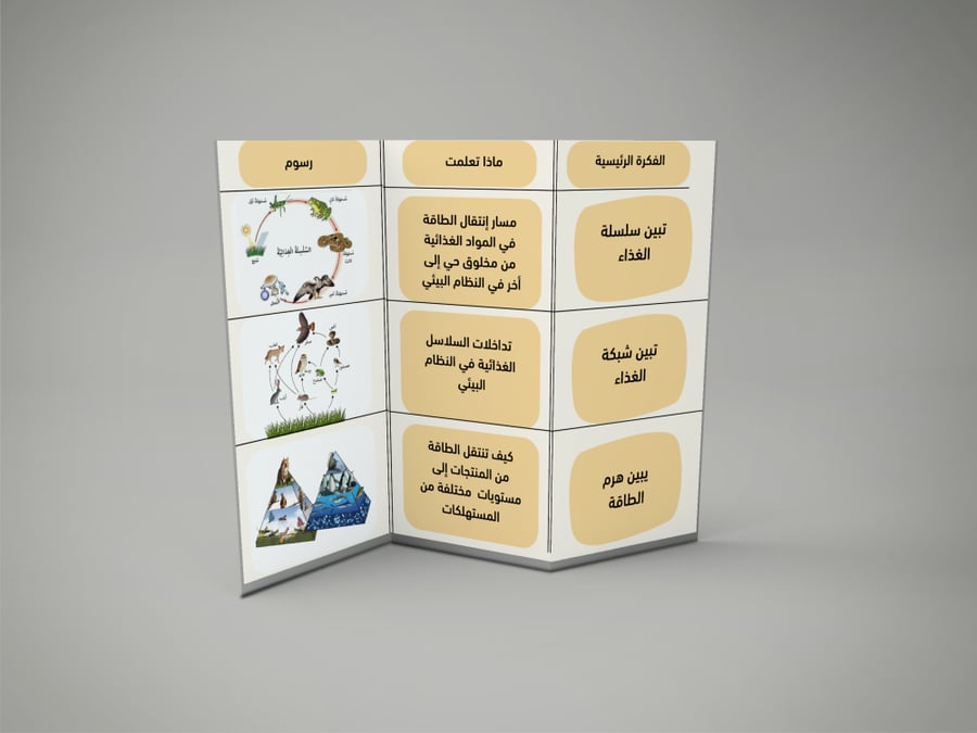 السلاسل والشبكات  الغذائية