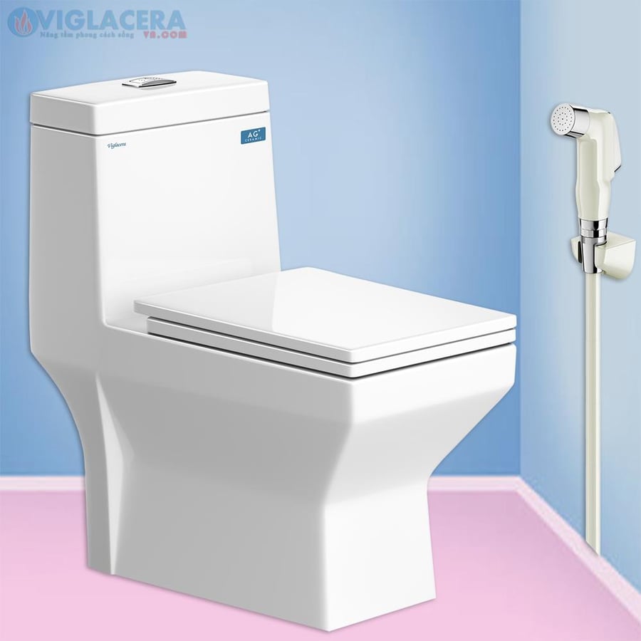 Viglacera V42 toilet seat