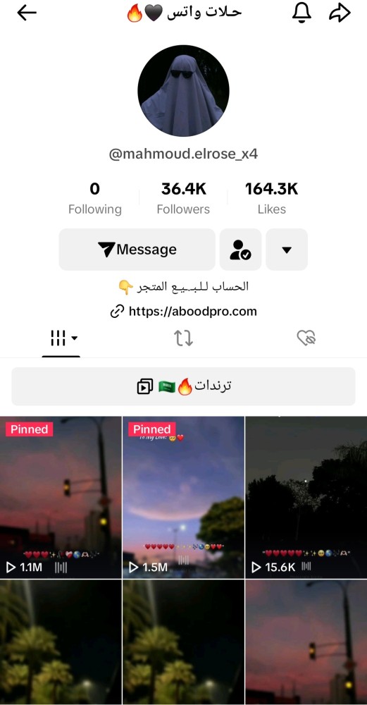 حساب تيك 36 الف متابع عرب