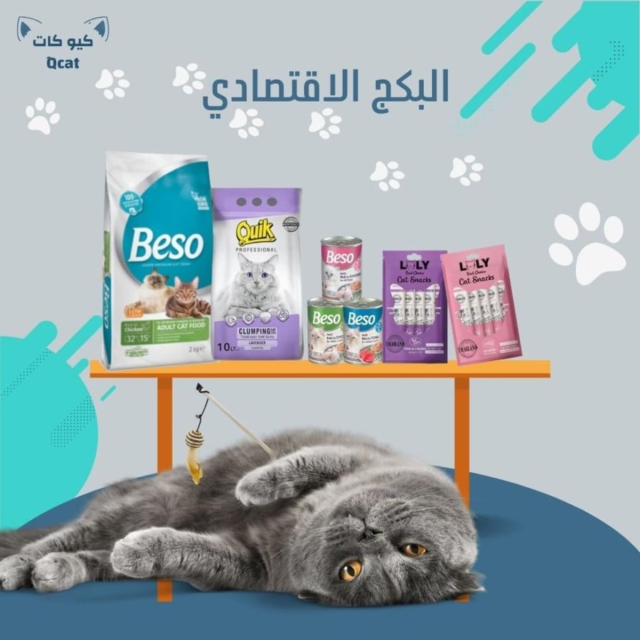 البكج الاقتصادي ( احتياجات شهر )