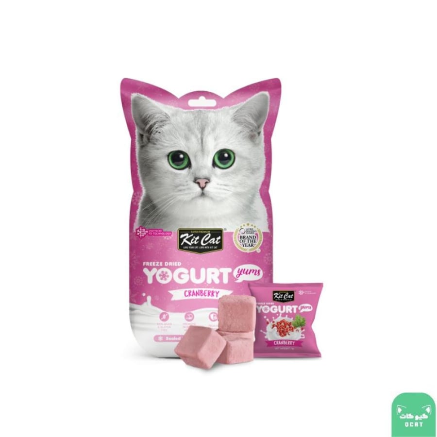 يوقارت يامز توت بري مكافأت مجففة 10*1