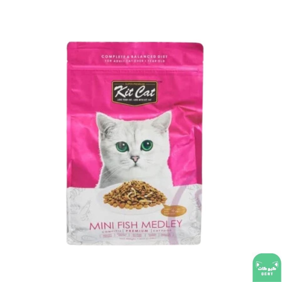كت كات kit cat طعام جاف للقطط ميني فش لنمو العظام