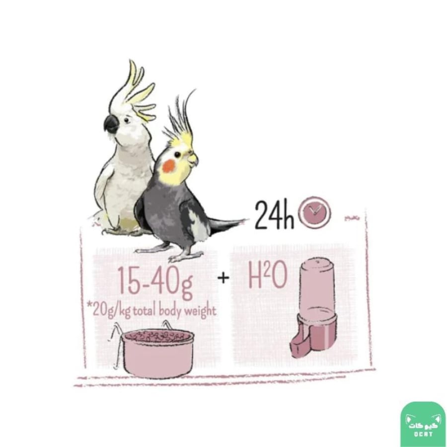 ويت مولين بيور خليط لطيور البراكيت والكوكاتو 2kg