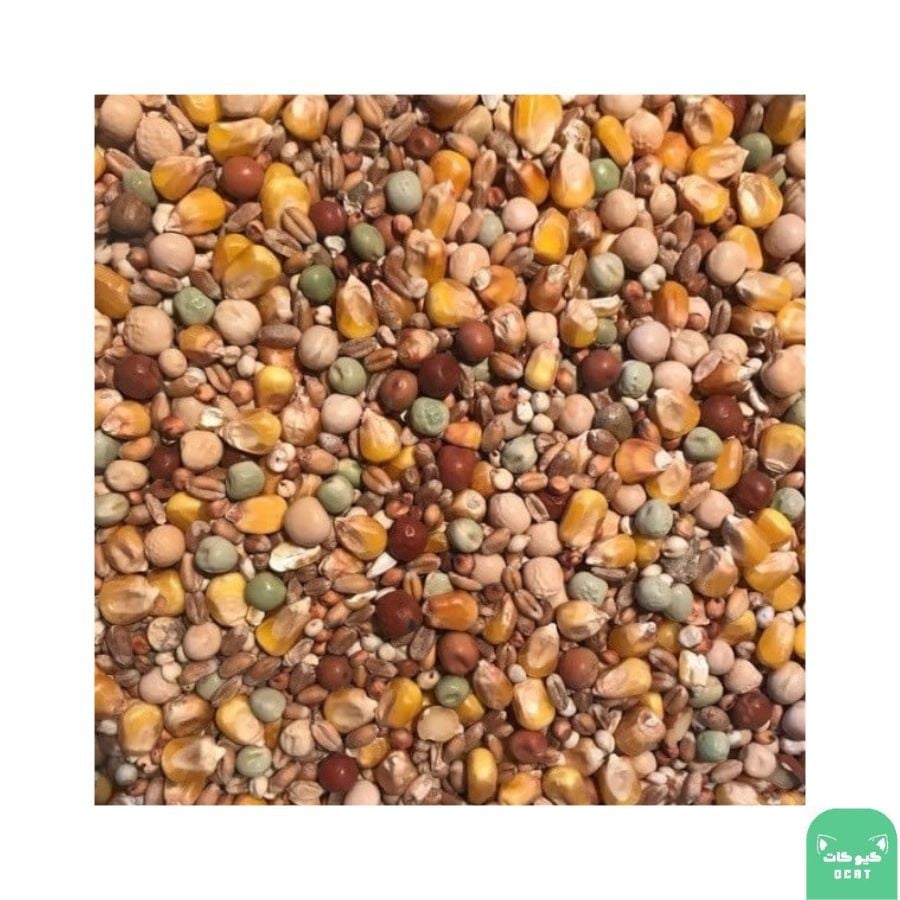منقوع للطيور