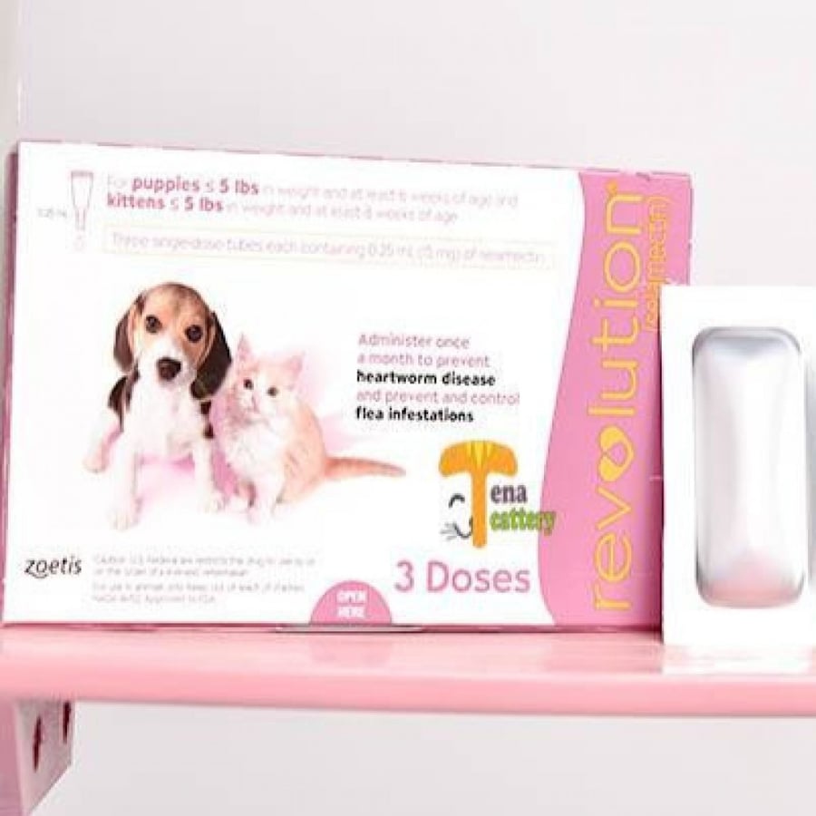 Revolution to eliminate cat lice