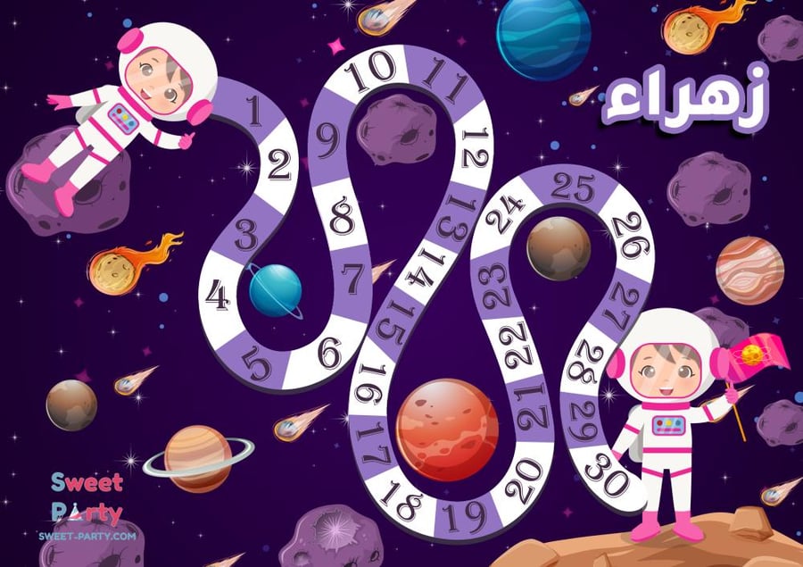 لوحة التعزيز المغناطيسية (رائدة فضاء)