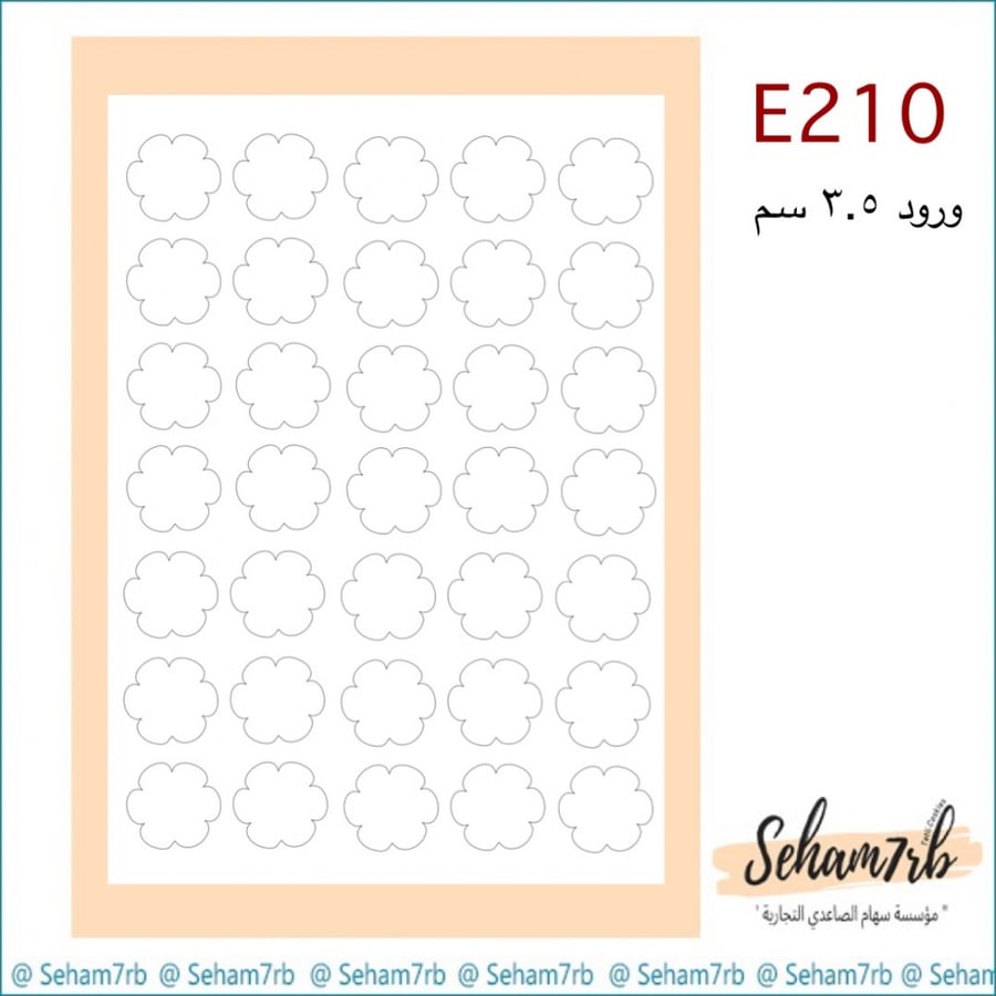 E210