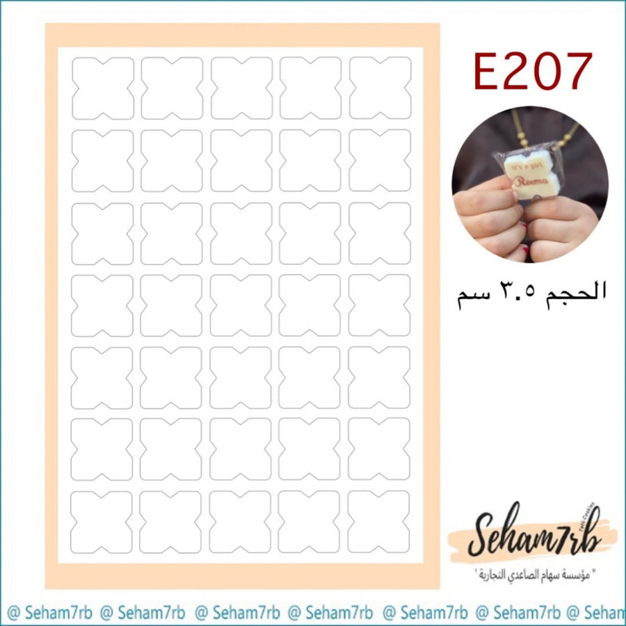 E207