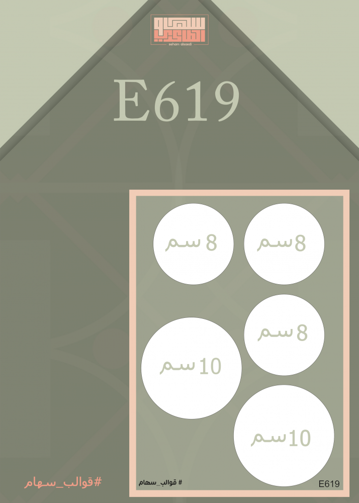 E619