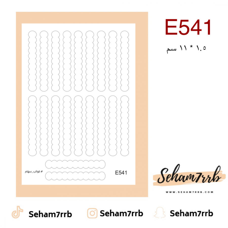E541