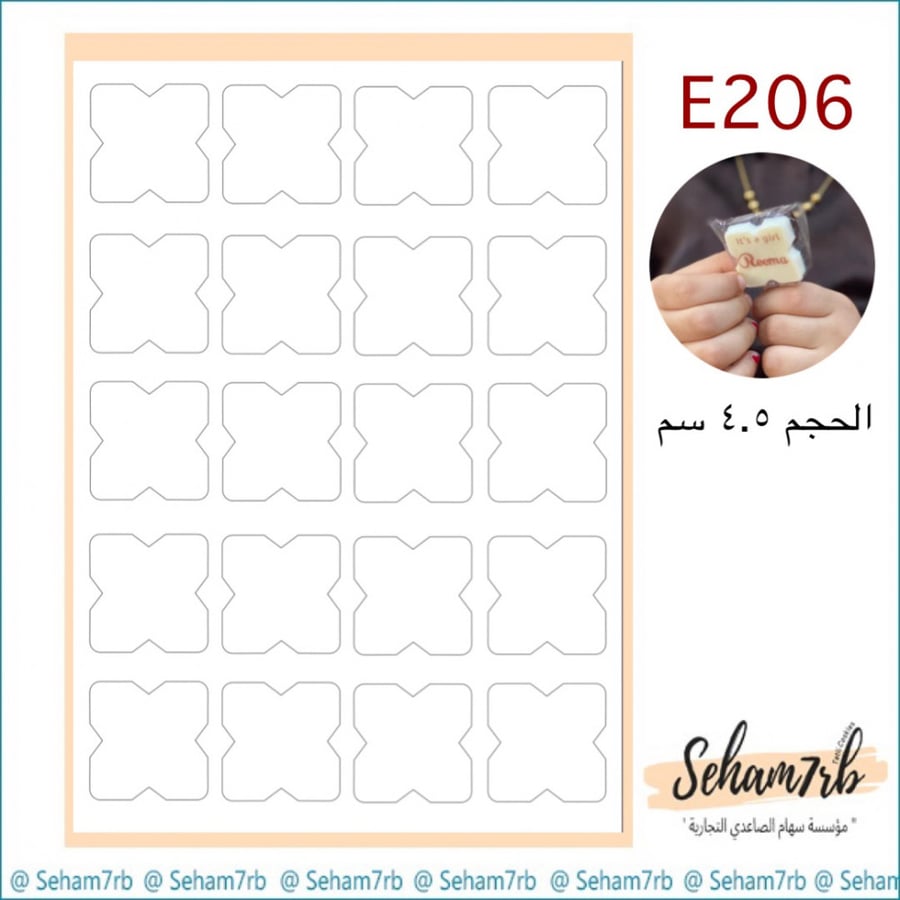 E206