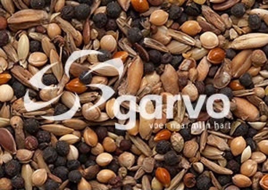 خلطة البذور البرية