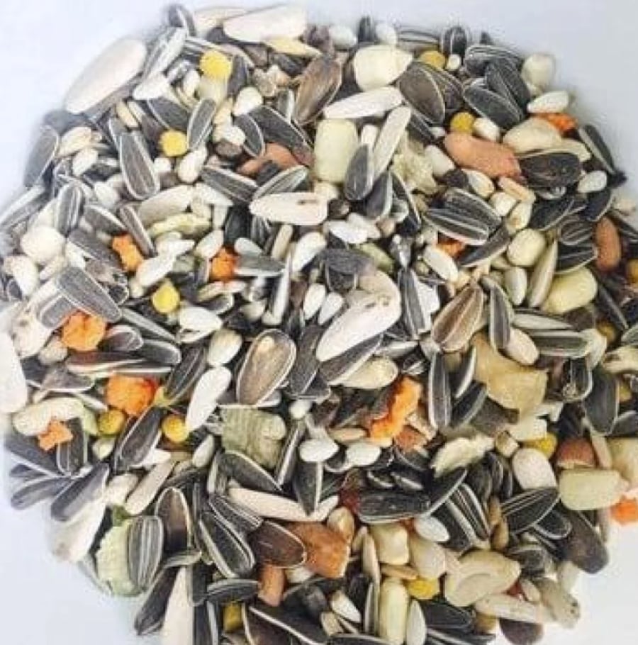 مانيتوبا خليط حبوب مشكل غذاء المكآو والببغاء الرمادي اكل الببغاء 800جرام Manitoba All Parrots Mixture Food 800gr
