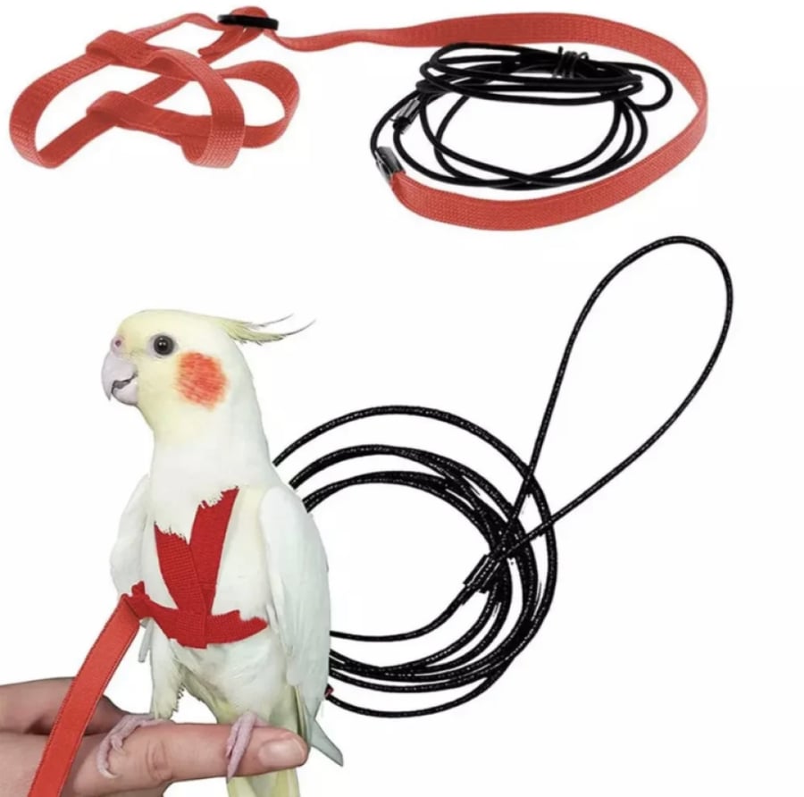 سلسلة ببغاء هارنس مشد هارنيس طوق طيور الزينة Parrot Harness - احجام متعددة
