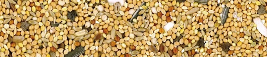 مانيتوبا اكل طيور الروز والكروان والفيشر 1كغ Manitoba Parrocchetti 1kg