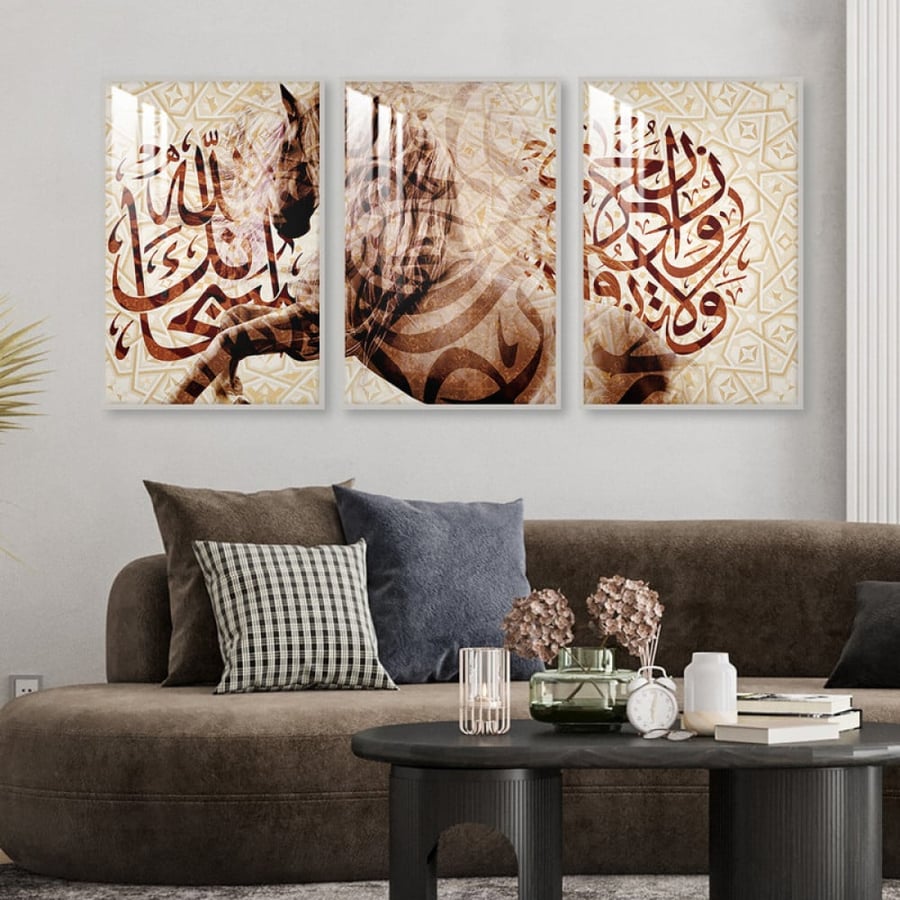 ثلاث لوحات جدارية مع برواز واكريلك شفاف