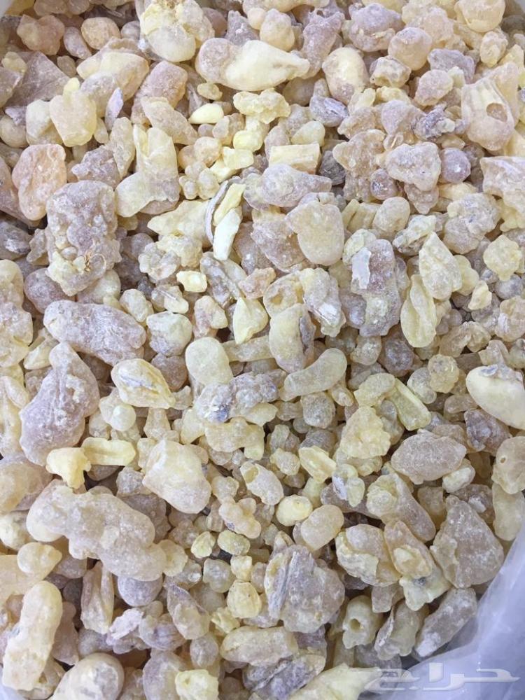 Luxurious Hojari Frankincense