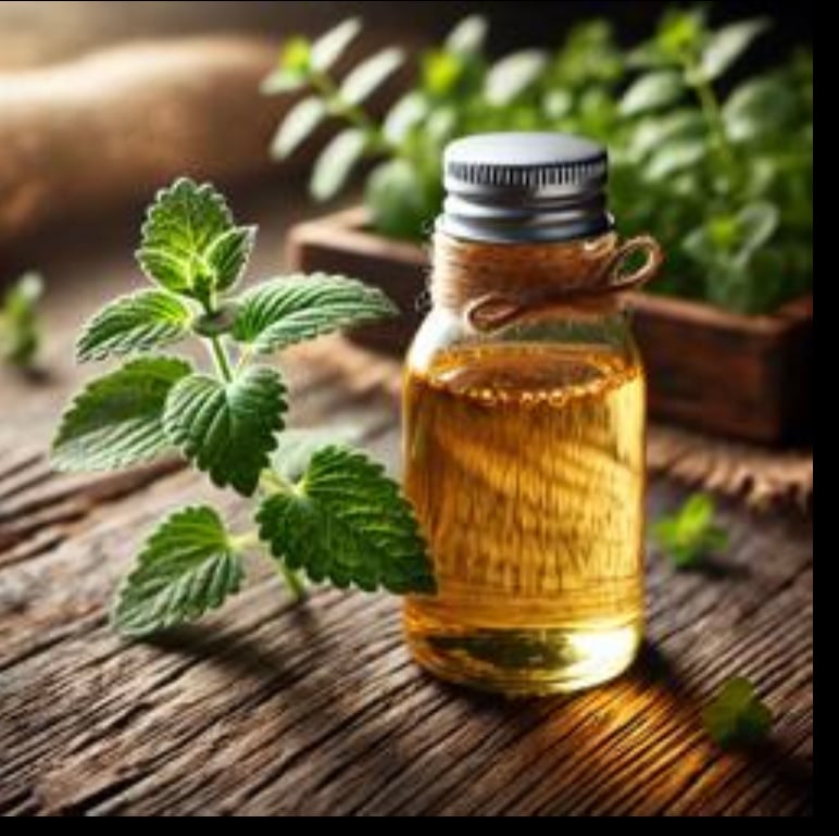 زيت عود الصليب النقي ١٢٥ مل