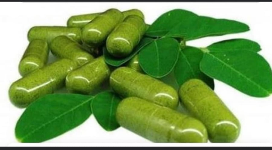 Moringa capsules / 100 capsules