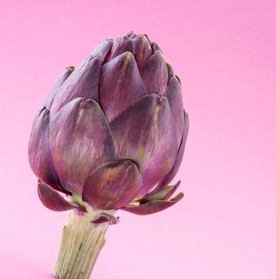Moisturizing Shampoo Artichoke & Broccoli