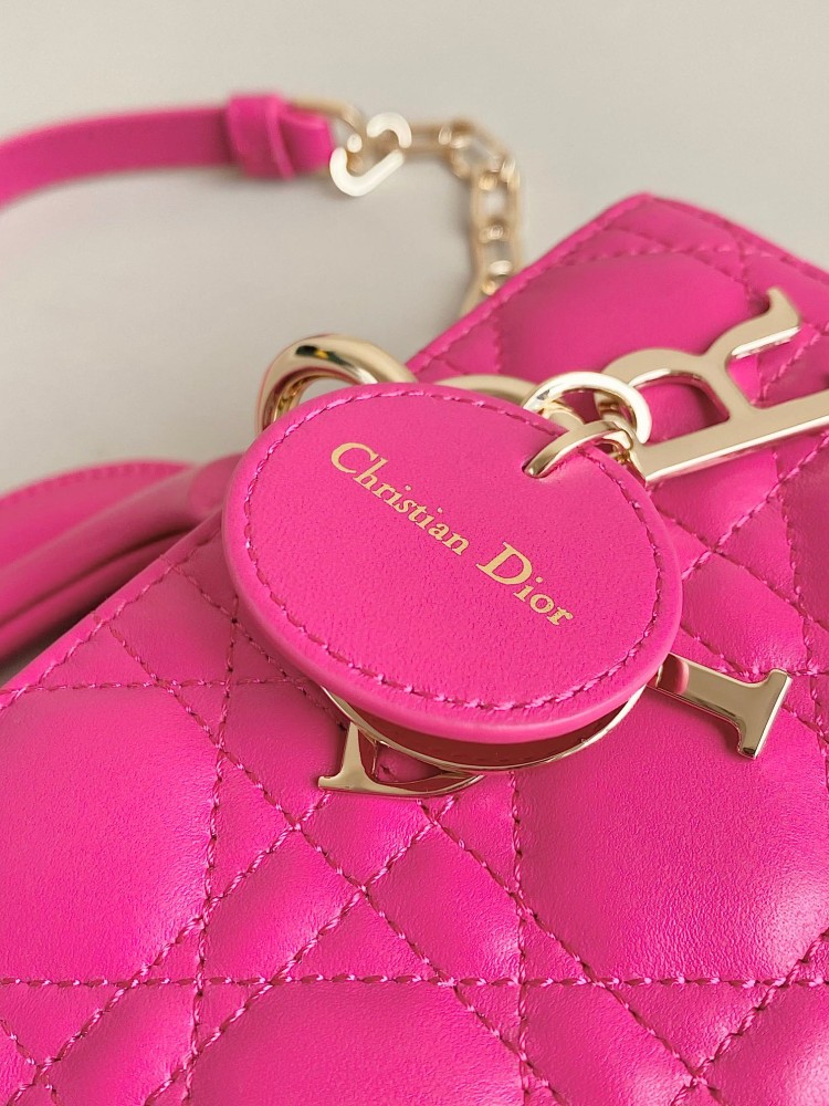 Lady Dior joy 22cm