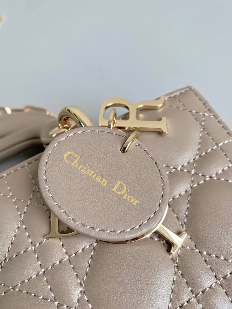 Lady Dior joy 22cm