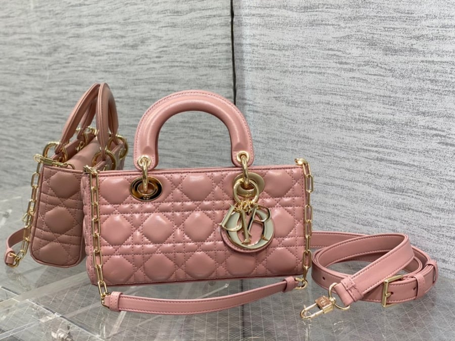 Lady Dior joy 22cm