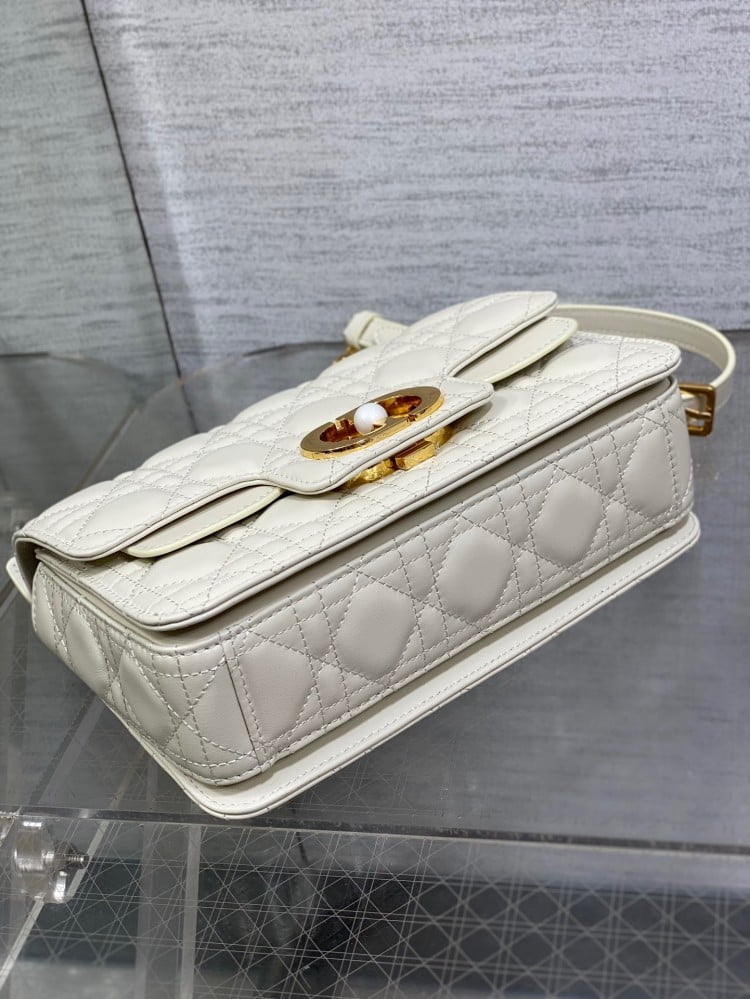 Dior Jolie 22cm