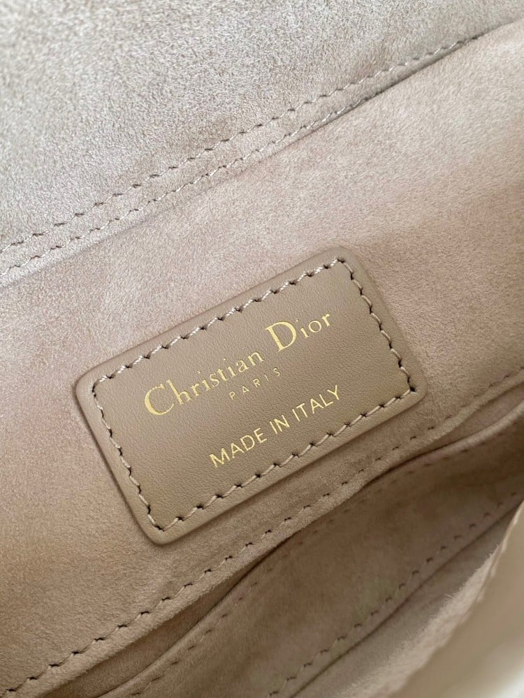 Lady Dior joy 22cm
