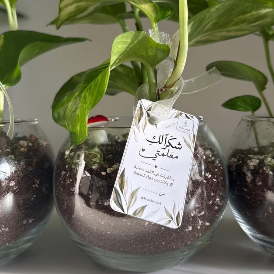 بوتس - يوم المعلم (A)