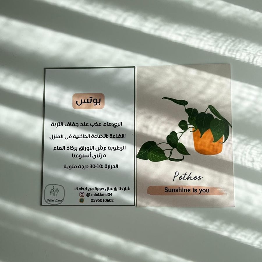 بوتس جولدن - فازة فايبر مخطط