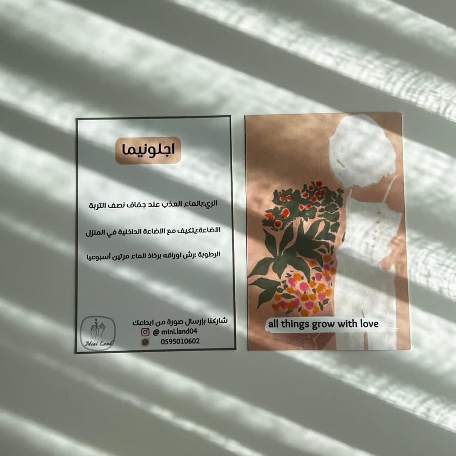 اجلونيما ماريا  - سيراميك