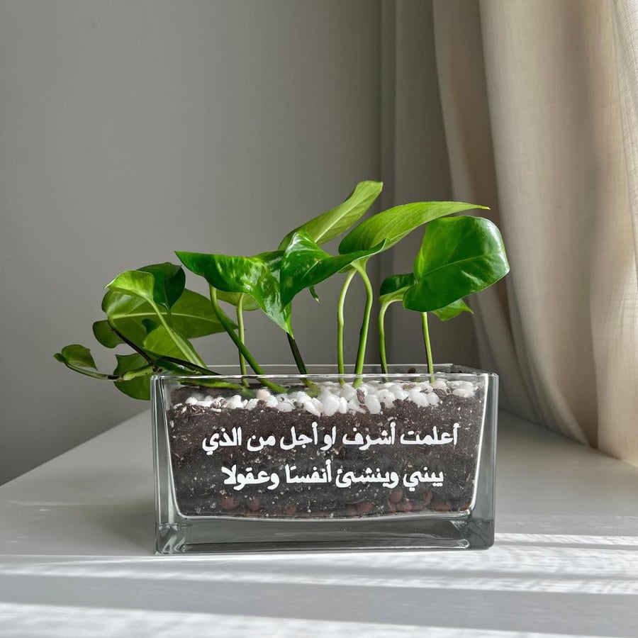 بوتس - يوم المعلم