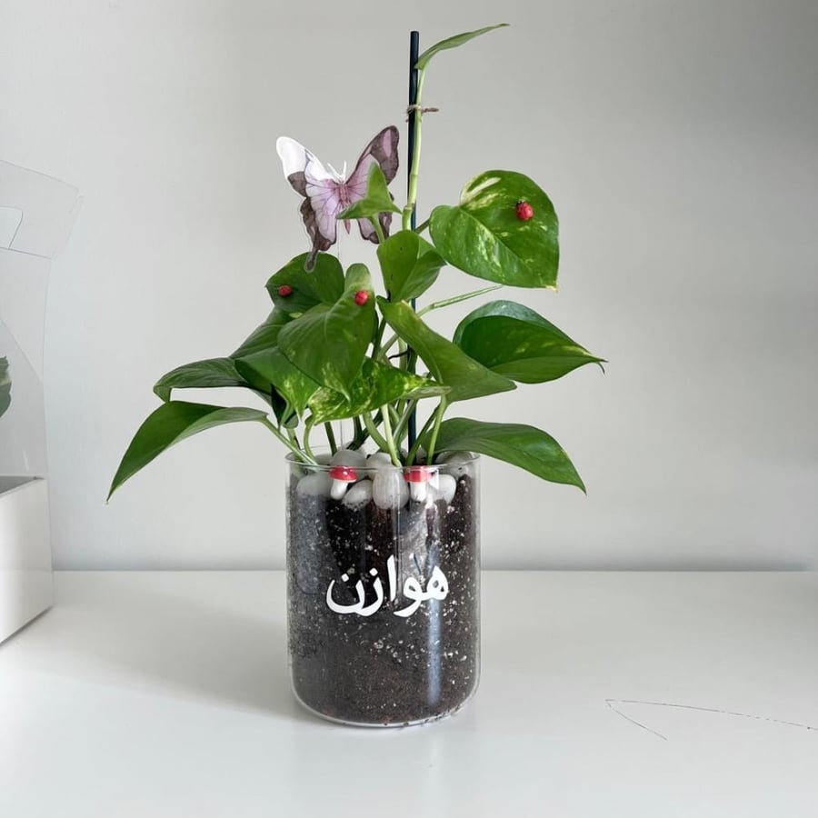 بوتس - فازة زجاج مع طباعة