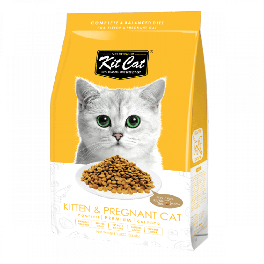 كت كات طعام جاف للقطط الصغيرة و القطط الحوامل حجم 1.2kg
