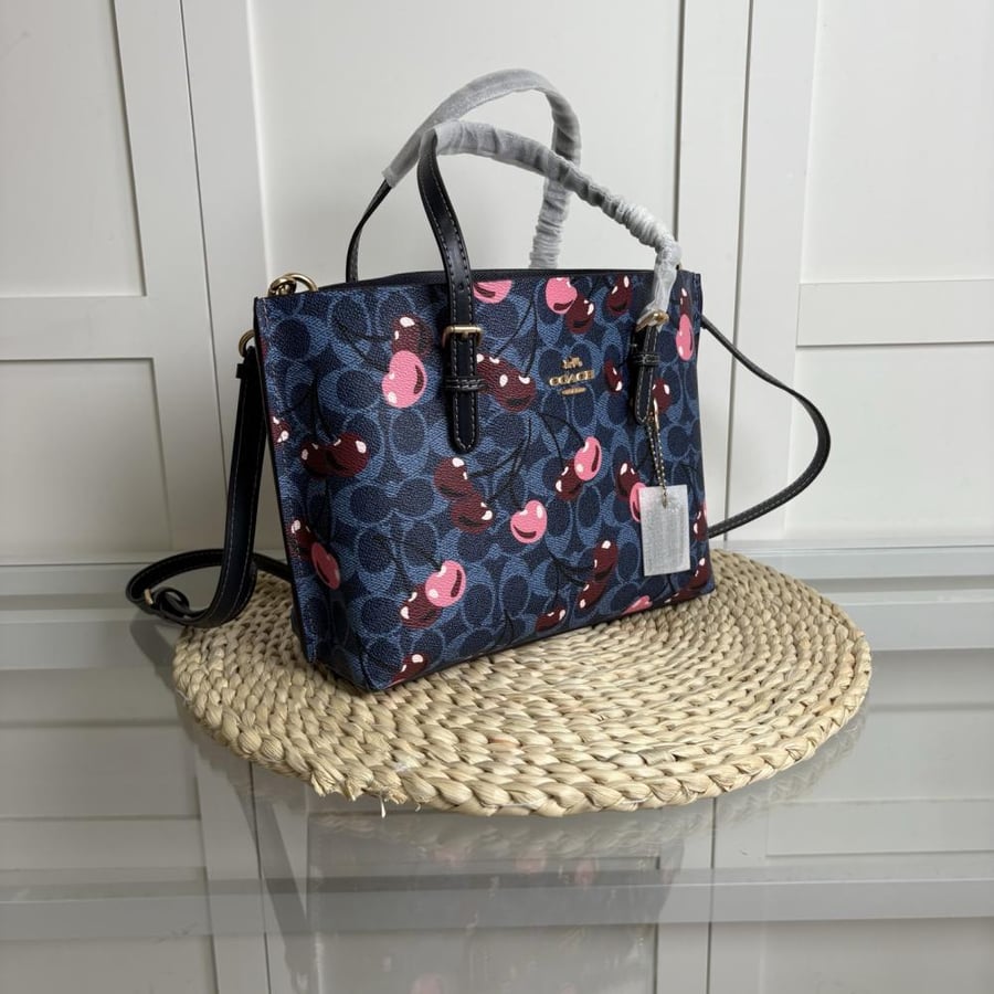 COACH small tote bag